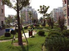 此房满五,精装修,楼层好,复式三房、房龄2003