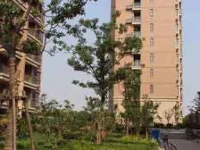 此房满五,精装修,楼层好,复式三房、房龄2003