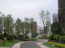 带产权车位精装,电梯房入住快必看好房