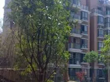 中环边,低总价,南北通户型,诚意卖