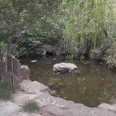 入户两扇窗横厅采光好 出门延安西路站近东华大学 出行便利