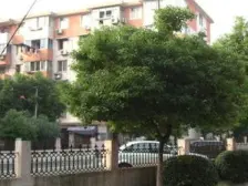 嘉富小区5室南朝向319.00万元/套出售