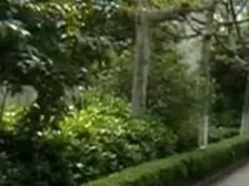 旅顺路71弄 1室1厅 南 北