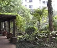 双南双院子,采光效果好(无遮挡)位置安静,诚意出售