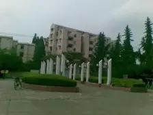 日晖一村 1室1厅 南