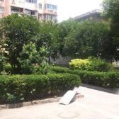 彭浦·岭南路700弄·2室·1厅