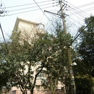 人乐新村实景图
