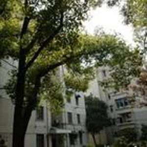 人乐新村实景图