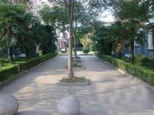 南北通户型采光充足。精装房中高楼层西边套 方便看房