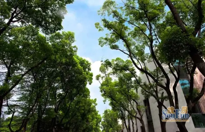 大宁揽翠艺墅实景图