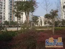 近地铁+满五唯 一,电梯中层大两房出门公园和生活街。