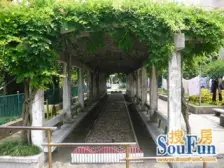 【双南房、业主诚意出售、视野开阔、采光好!!】