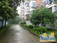 底楼带阳光房小院,满五精装修近沙滩