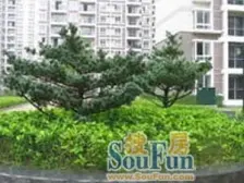 小区位置好,有个公用的大露台,看房方便有钥匙