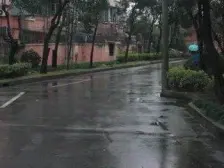 曲沃路255弄 1室1厅 南