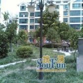 西渡地铁站+一楼有yuan子+精装南北通+看房周末约