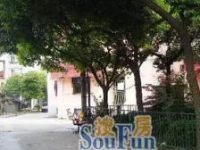 近轨交 双居带厅 楼层好 采光充足