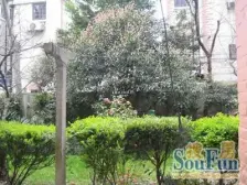 幸福老公寓1-1-1-1 39.91m2