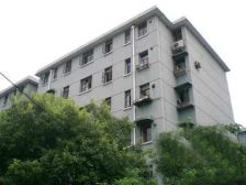 镇东新村3室1厅南