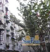 45.08平2房,东边套全明户型,有独立餐厅,精装修