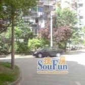 中间楼层三房,业主诚意出售看房方便,近公园,地铁