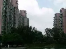 金沙雅苑一楼带大花园 三开间 精装修3年 南北通户型