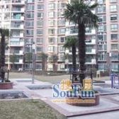 徐汇内环 丝庐花语 朝南一房一厅 房型正气 采光通风好