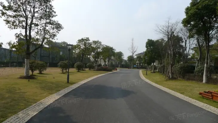 湖庭实景图