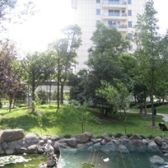 鼎园南区,不沿马路,人车分流,高区2房