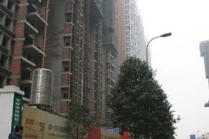 西岸观邸3室2厅东南