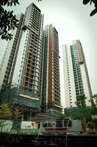 格力香樟实景图