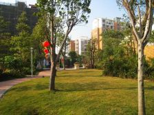 中惠珺庭电梯通透大三房,客餐厅带双阳台空气对流