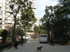 新上内环内电梯一房 看房方便近花园 采光好 产权清晰