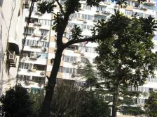 赤峰小区1室南朝向360.00万元/套出售