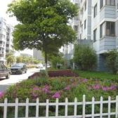 九华新园新上空中别墅地铁口宝龙旁带南北露台