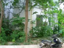 长江小区 1室1厅 南