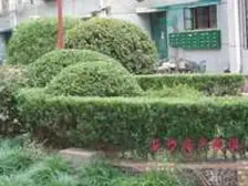 内环内品质小区,96年房龄新,楼层好,交通便利