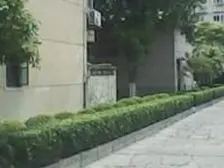 宝钢九村 1室1厅 南