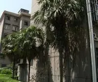 采光充足,房型正气,小区中心位置,两房朝南