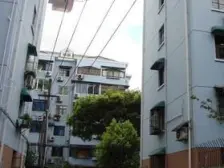 古美罗阳·古美八村·3室·1厅