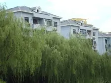 主卧朝南,交通便利,居家装修,刚需好房