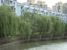 满五沿,河业主诚意出售 运营总主推