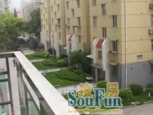 周浦镇上稀有户型 出门是小上海步行街以及弯达广场商业街