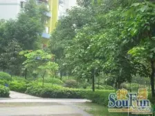 两路老城 银鑫小区三房49万