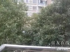 新华路·文艺大楼·3室·1厅