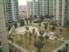 新杨思??中环内+6号线地铁+C户型+中间位置+高区视野