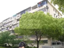 新出中间楼层南北通/前滩和心地段/小区宽敞/停车方便