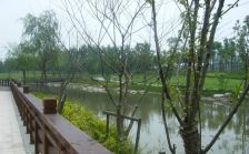 正阳世纪星城三期精装修两房总价低电梯房