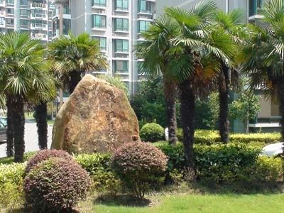 小区相关图