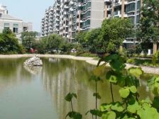 电梯3房2卫+杨思前滩三林+近地铁8号线+中高楼层